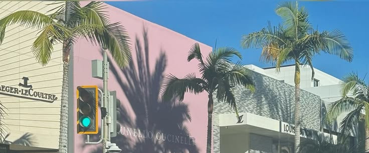 A street scene with a pink building facade, palm trees, blue sky, and a traffic light. Visible storefront signage includes Jäger-Lé-Coulterre and DUNNALLY O'CINELITE.